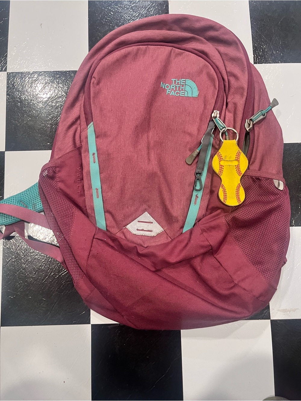 The North Face Backpack in Mauve with Teal Accents
